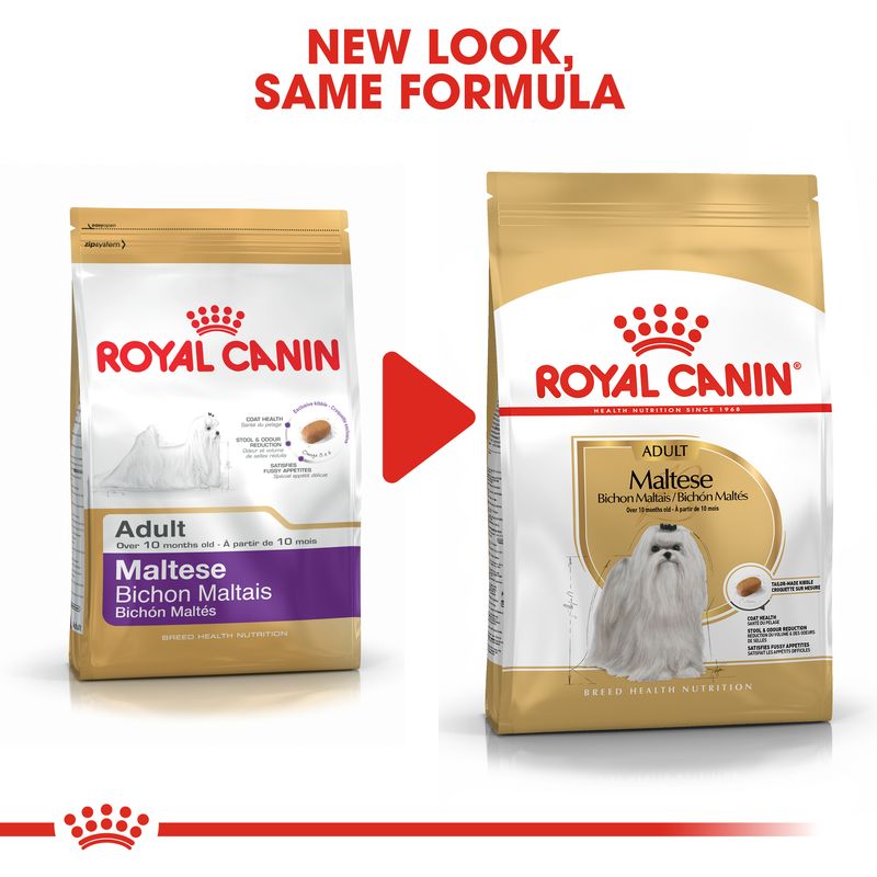 Royal Canin Maltese Adult || Royal Canin Breed || view 6
