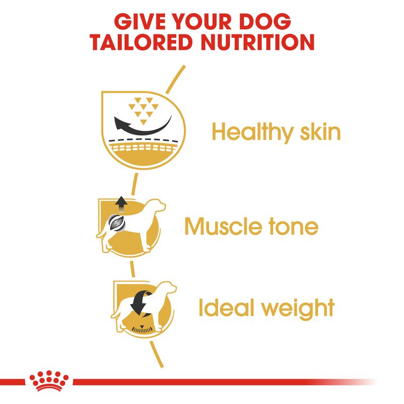 Royal Canin Pug Adult || Royal Canin Breed || view 3