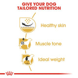 Royal Canin Pug Adult || Royal Canin Breed || view 3