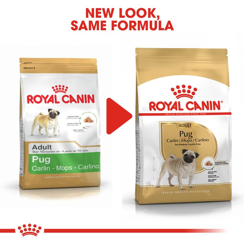 Royal Canin Pug Adult || Royal Canin Breed || view 6