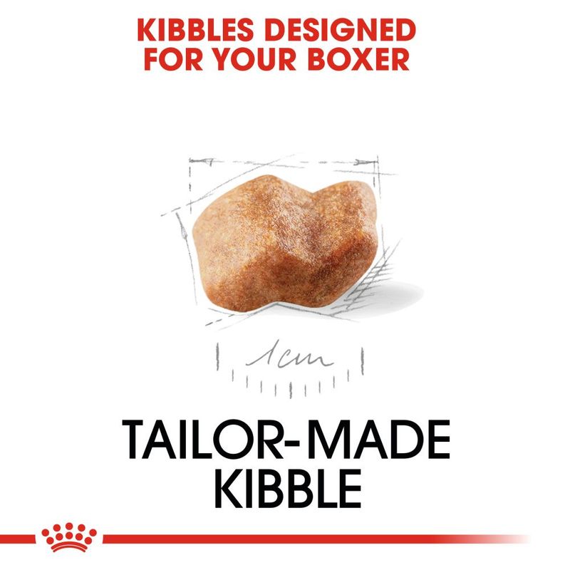 Royal Canin Boxer Puppy || Royal Canin Breed || view 3