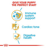 Royal Canin Cavalier King Charles Puppy || Royal Canin Breed || view 5
