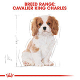 Royal Canin Cavalier King Charles Puppy || Royal Canin Breed || view 6