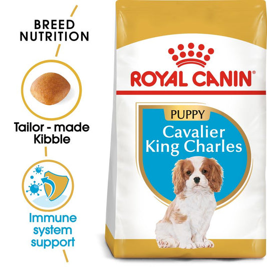 Royal Canin Cavalier King Charles Puppy || Royal Canin Breed || view 1