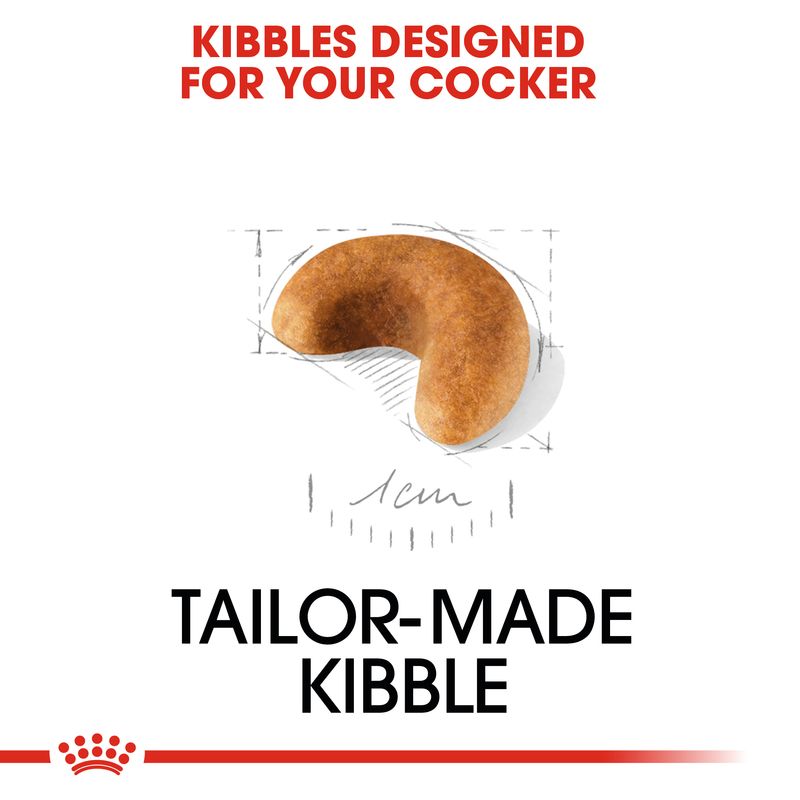 Royal Canin Cocker Spaniel Puppy || Royal Canin Breed || view 3