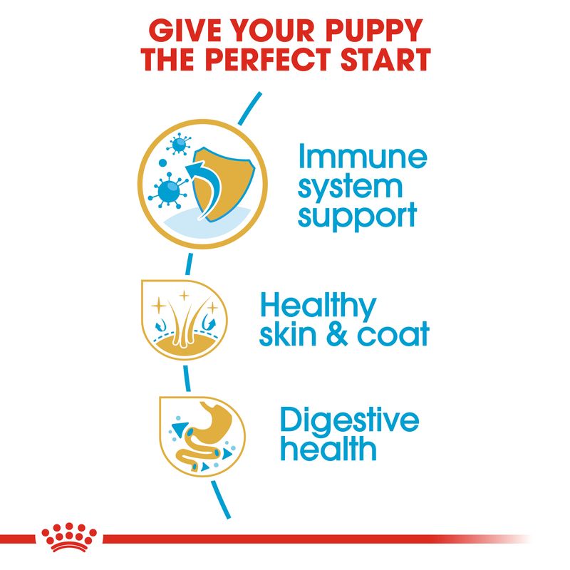 Royal Canin Cocker Spaniel Puppy || Royal Canin Breed || view 5
