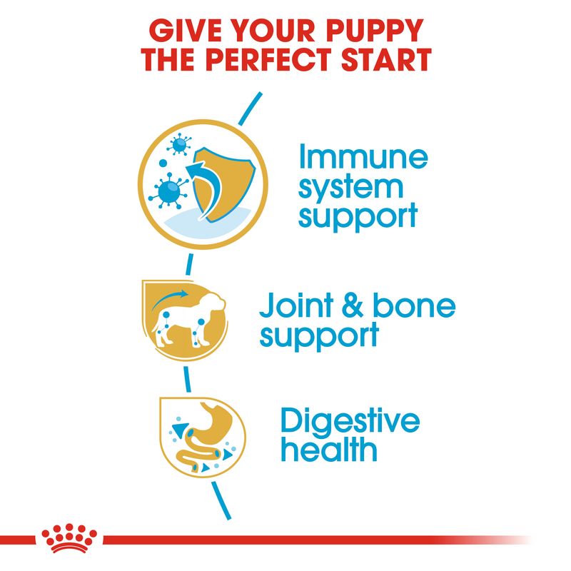 Royal Canin Dachshund Puppy || Royal Canin Breed || view 3
