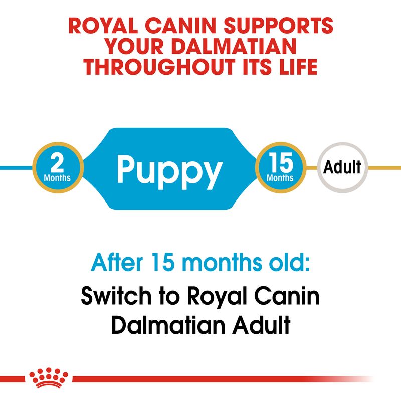 Royal Canin Dalmatian Puppy || Royal Canin Breed || view 4