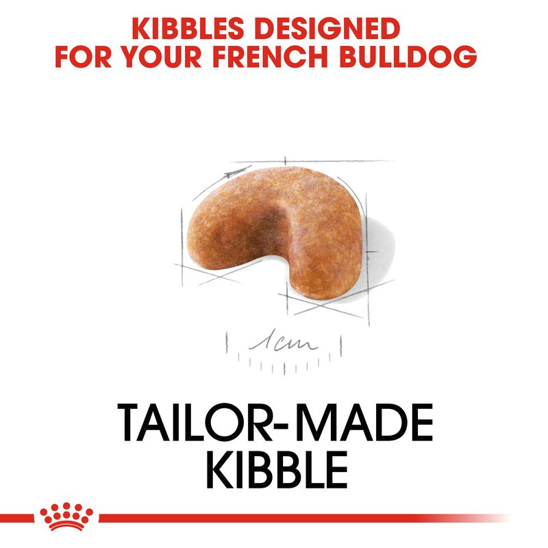 Royal Canin French Bulldog Puppy || Royal Canin Breed || view 3
