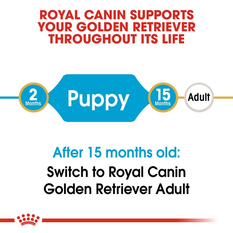 Royal Canin Golden Retriever Puppy || Royal Canin Breed || view 5