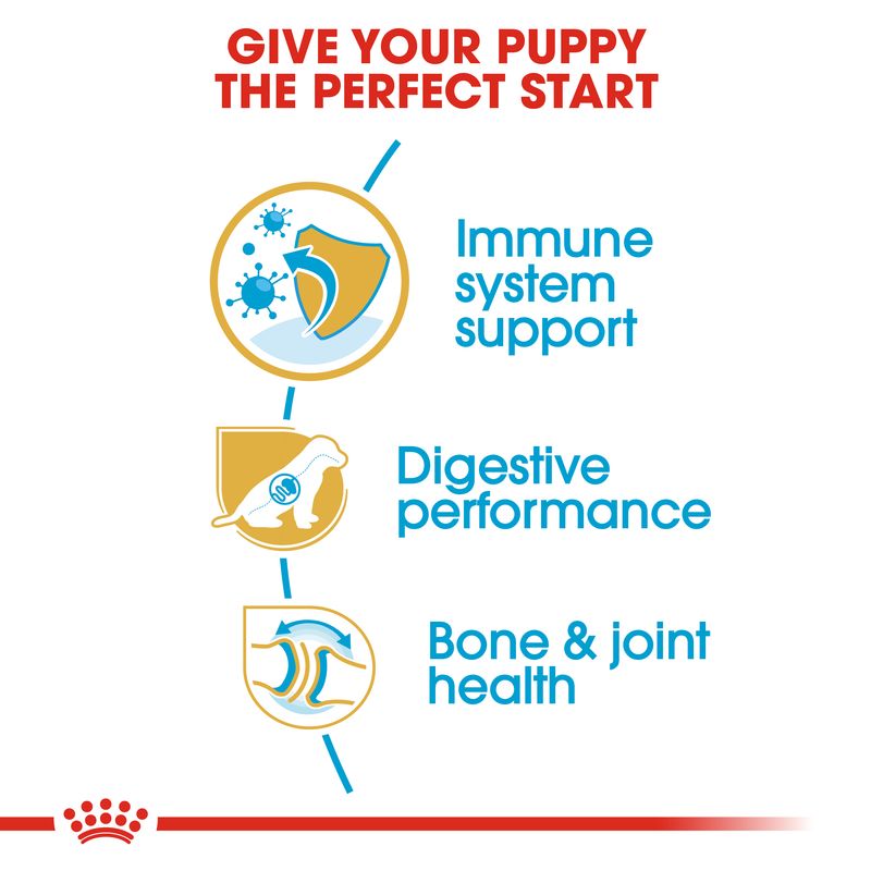 Royal Canin German Shepherd Puppy || Royal Canin Breed || view 3