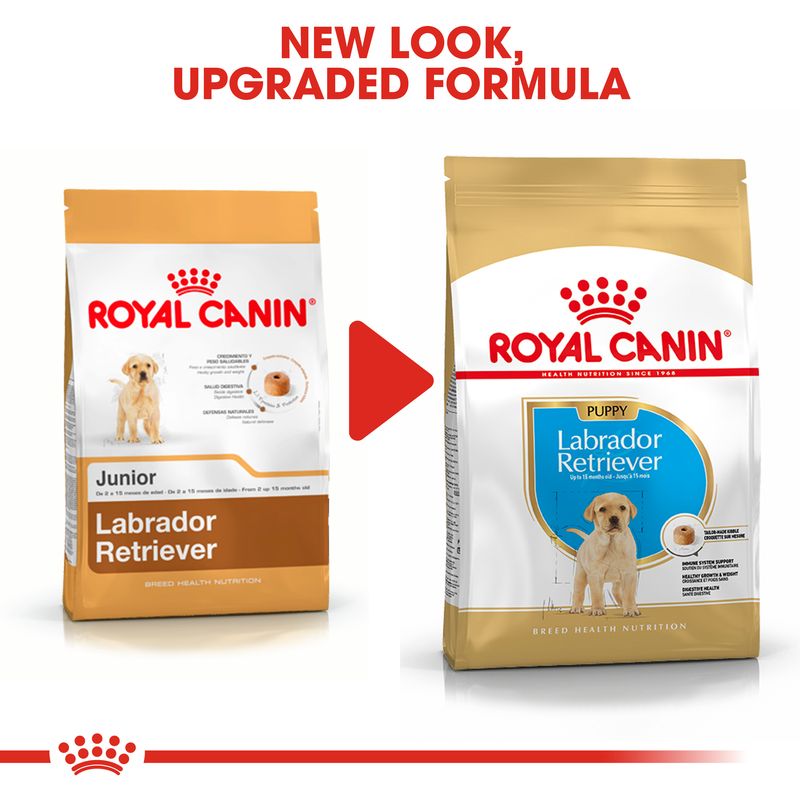 Royal Canin Labrador Retriever Puppy || Royal Canin Breed || view 7