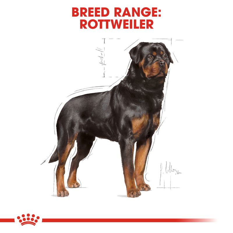 Royal Canin Rottweiler Adult || Royal Canin Breed || view 5