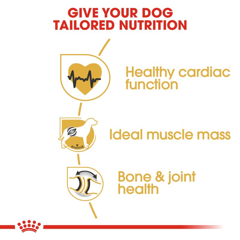 Royal Canin Rottweiler Adult || Royal Canin Breed || view 3