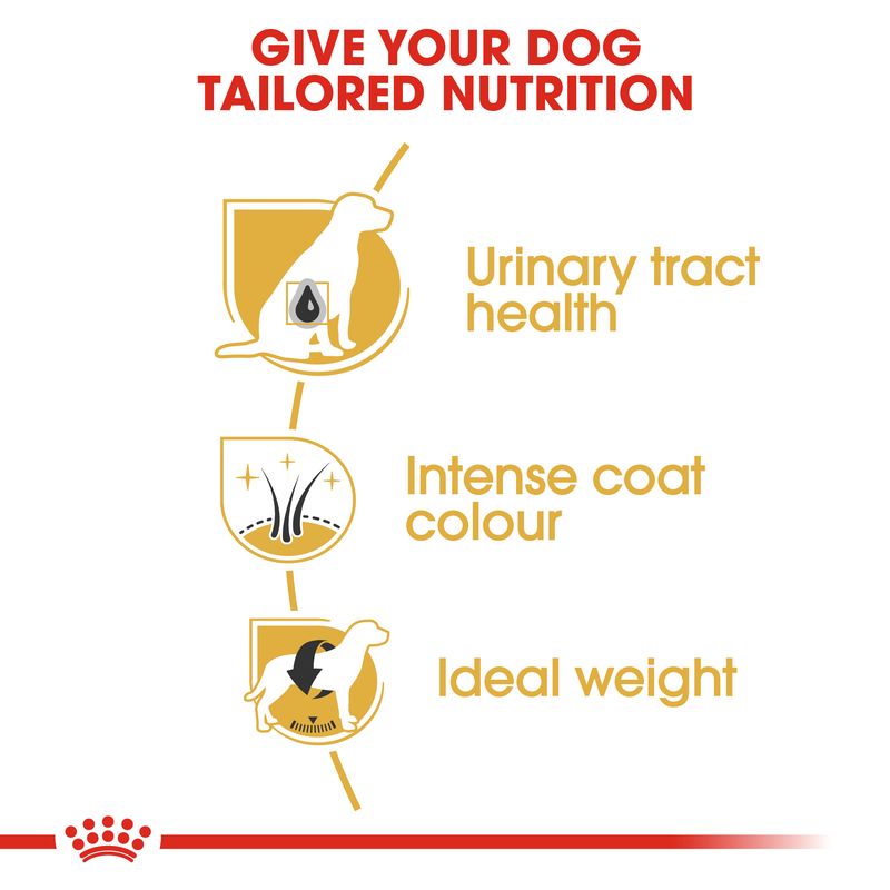 Royal Canin Miniature Schnauzer Adult || Royal Canin Breed || view 3