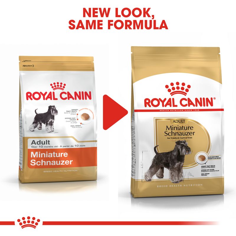 Royal Canin Miniature Schnauzer Adult || Royal Canin Breed || view 6