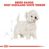 Royal Canin West Highland White Terrier Adult || Royal Canin Breed || view 5