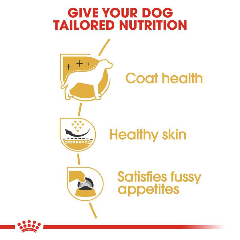 Royal Canin West Highland White Terrier Adult || Royal Canin Breed || view 3