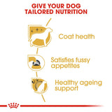 Royal Canin Yorkshire Terrier Adult || Royal Canin Breed || view 4