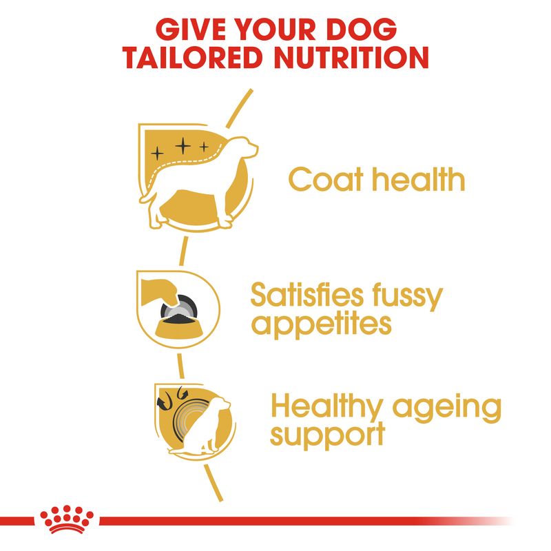 Royal Canin Yorkshire Terrier Adult || Royal Canin Breed || view 4