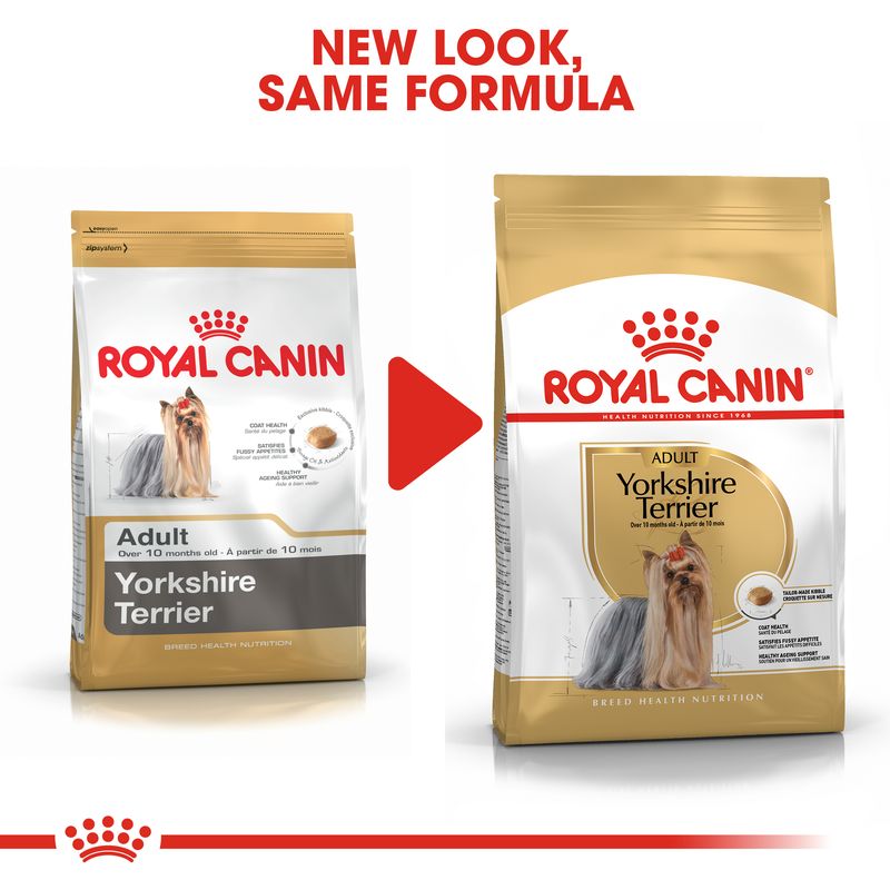 Royal Canin Yorkshire Terrier Adult || Royal Canin Breed || view 7