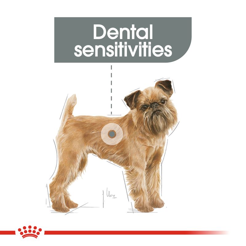 Royal Canin Mini Dental Care || Royal Canin Care Nutrition || view 5