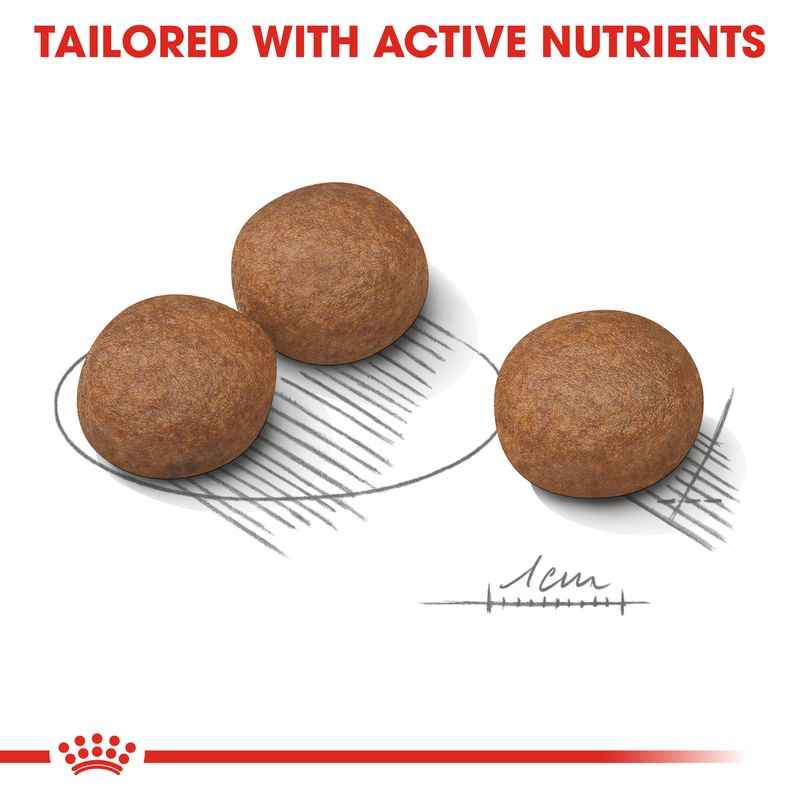 Royal Canin Medium Digestive Care || Royal Canin Care Nutrition || view 3
