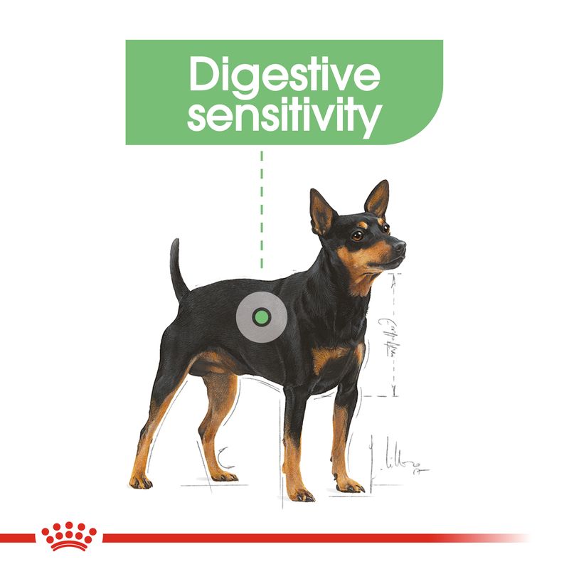 Royal Canin Mini Digestive Care || Royal Canin Care Nutrition || view 7