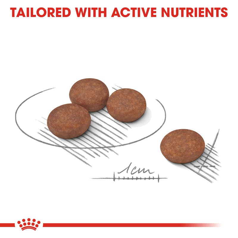 Royal Canin Mini Digestive Care || Royal Canin Care Nutrition || view 3