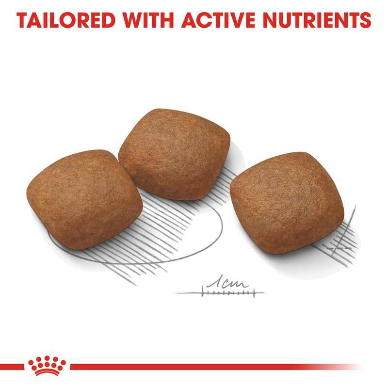 Royal Canin Maxi Joint Care || Royal Canin Care Nutrition || view 3