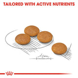 Royal Canin Mini Dermacomfort || Royal Canin Care Nutrition || view 3