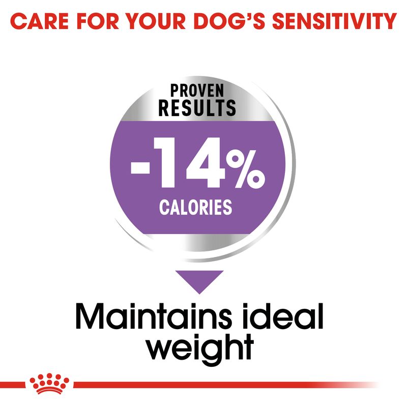 Royal Canin Maxi Sterilised || Royal Canin Care Nutrition || view 5