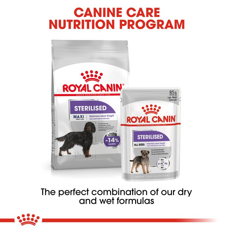 Royal Canin Maxi Sterilised || Royal Canin Care Nutrition || view 6