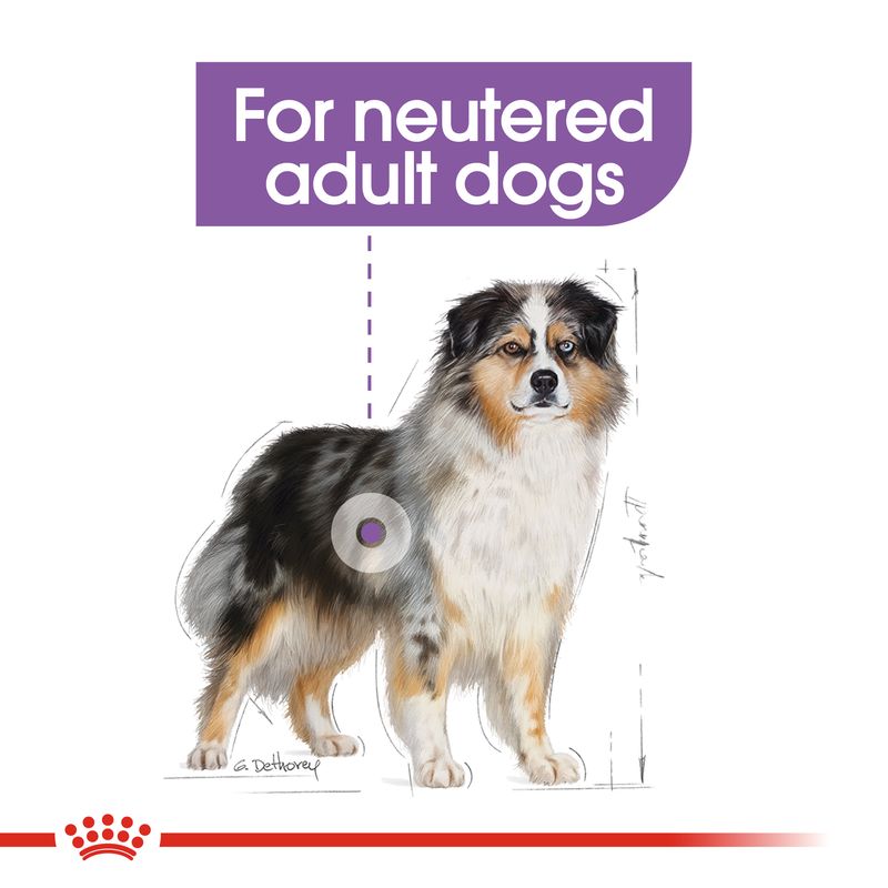 Royal Canin Medium Sterilised || Royal Canin Care Nutrition || view 7