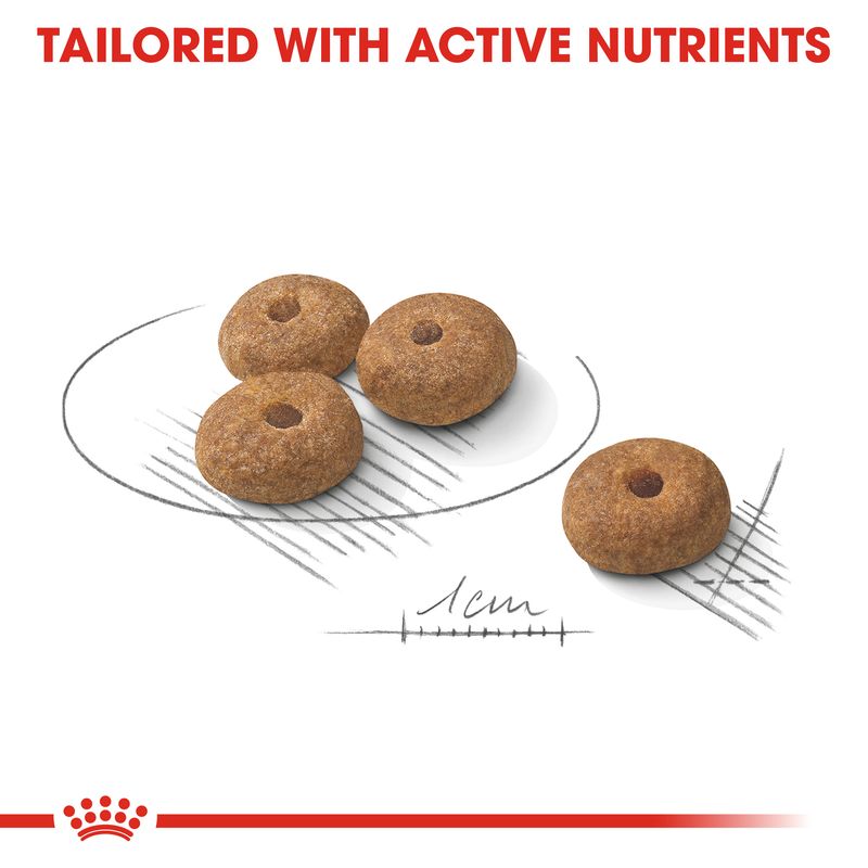 Royal Canin Mini Sterilised || Royal Canin Care Nutrition || view 3