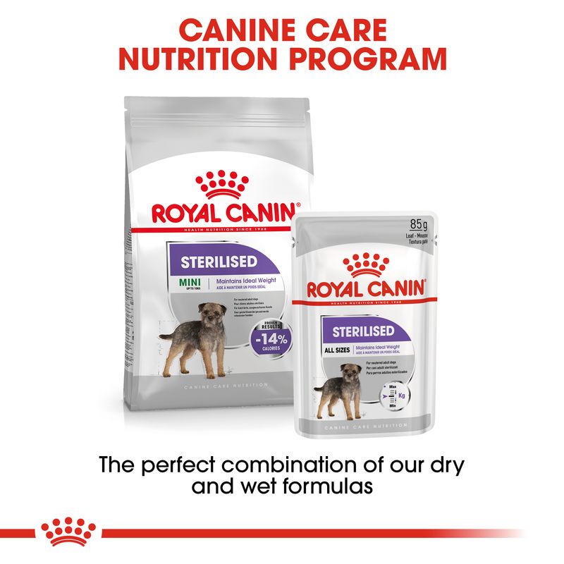 Royal Canin Mini Sterilised || Royal Canin Care Nutrition || view 6