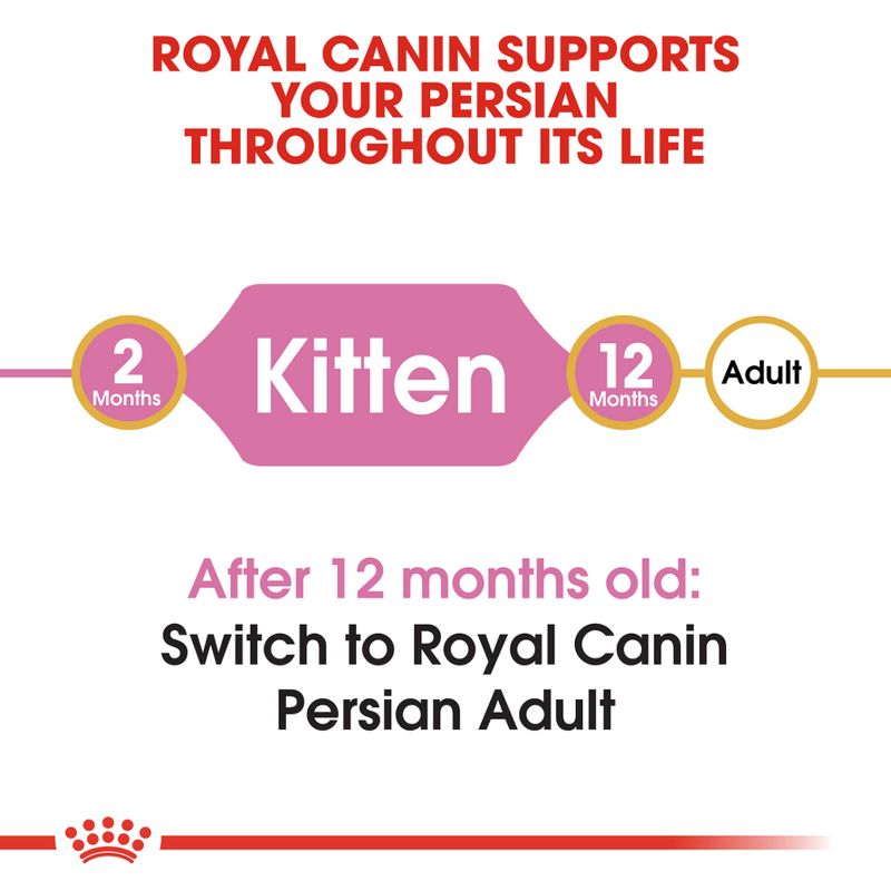 Royal Canin Persian Kitten || Royal Canin Breed || view 4