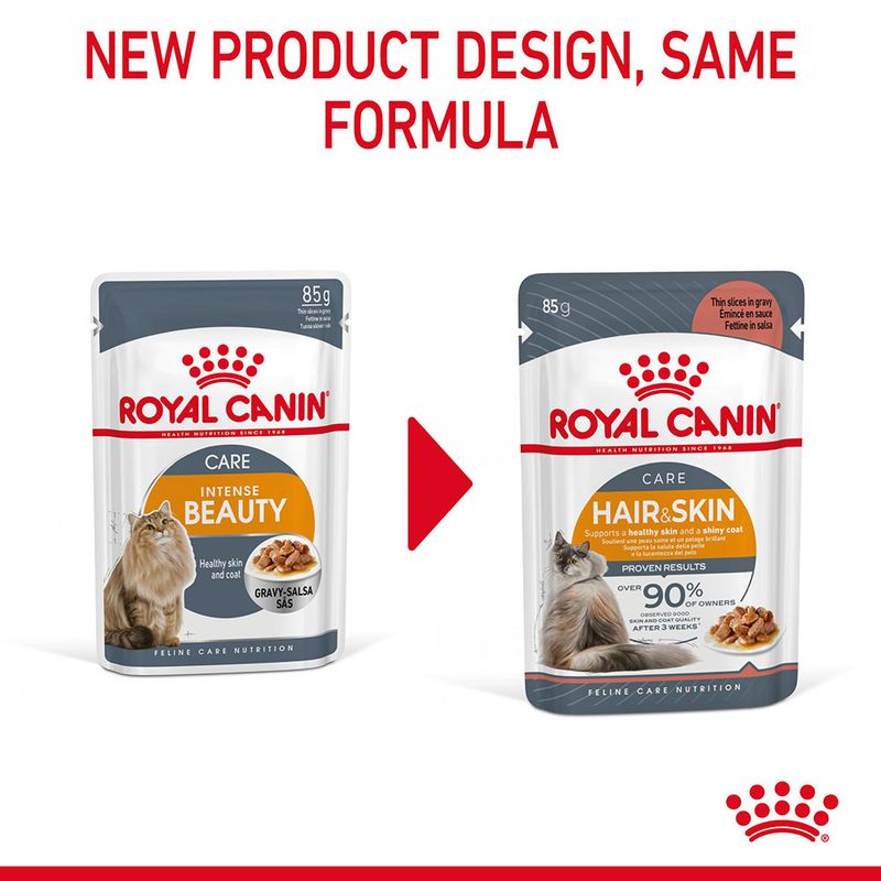 Royal Canin Hair & Skin Care in Gravy || undefined || view 10