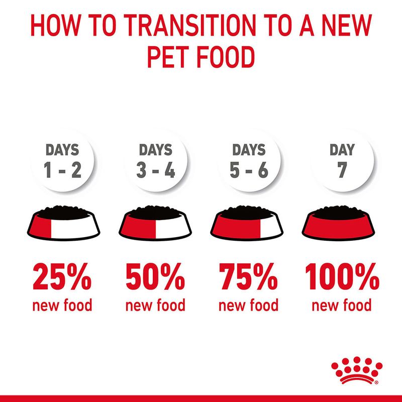 Royal Canin Hair & Skin Care in Gravy || undefined || view 11