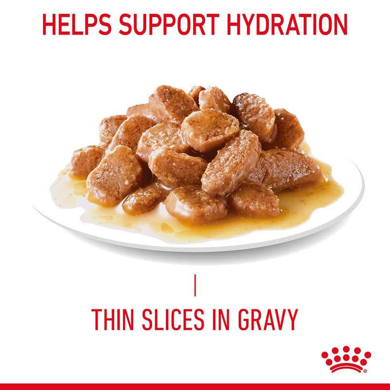 Royal Canin Hair & Skin Care in Gravy || undefined || view 6