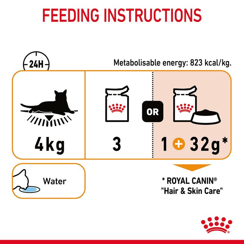 Royal Canin Hair & Skin Care in Jelly || undefined || view 9
