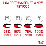 Royal Canin Hair & Skin Care in Jelly || undefined || view 11