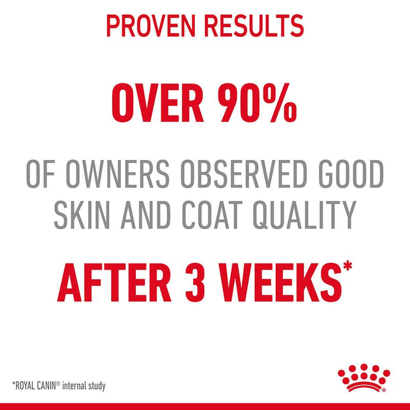 Royal Canin Hair & Skin Care in Jelly || undefined || view 3