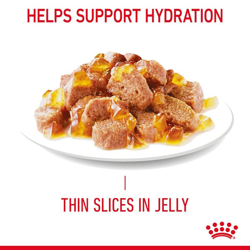 Royal Canin Hair & Skin Care in Jelly || undefined || view 6