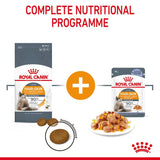 Royal Canin Hair & Skin Care in Jelly || undefined || view 7