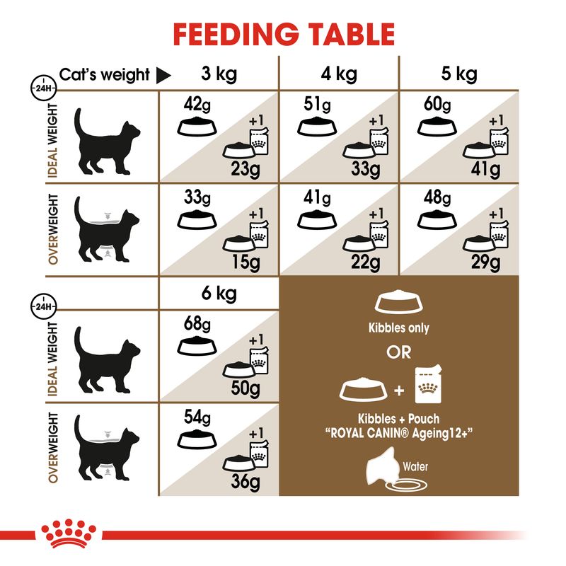 Royal Canin Ageing 12+ || Royal Canin || view 8