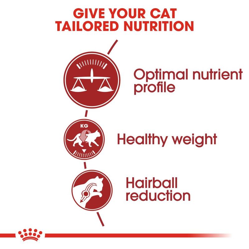 Royal Canin Regular Fit || Royal Canin || view 7