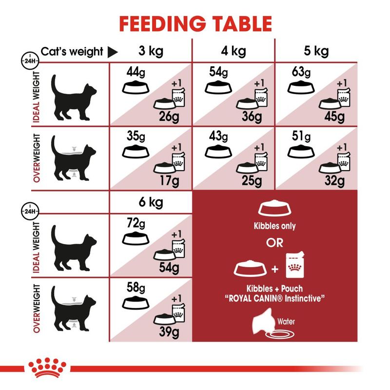 Royal Canin Regular Fit || Royal Canin || view 8