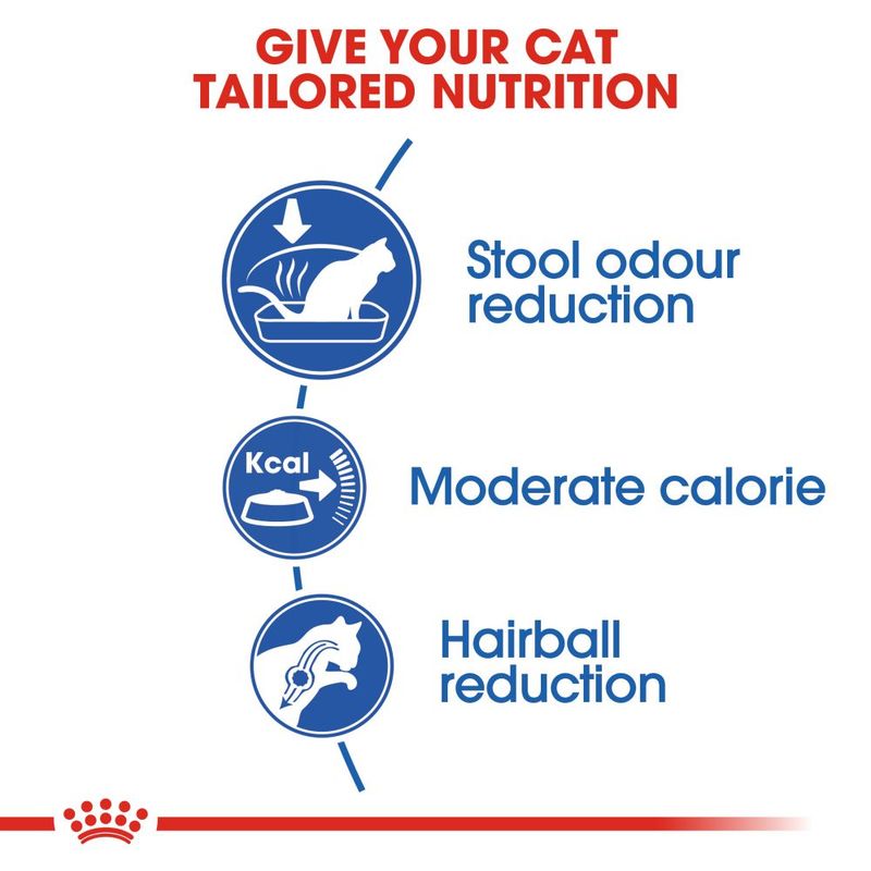 Royal Canin Indoor || Royal Canin || view 7