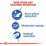 Royal Canin Indoor || Royal Canin || view 7